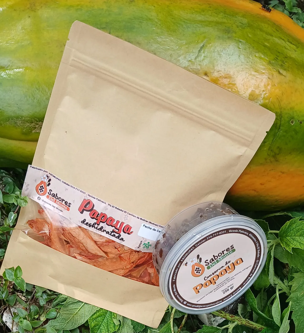 Papaya Deshidratada - Imagen 4